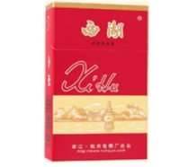 室外烟圈的图片真实大全